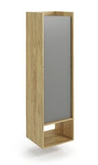 Шкаф Halmar Mobius 1D 179, коричневый/серый цвет цена и информация | Шкафчики в гостиную | 220.lv