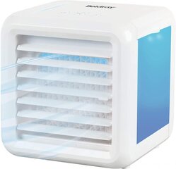 Beldray Охладитель воздуха Ice Cube Plus EH3139V2VDE цена и информация | Вентиляторы | 220.lv
