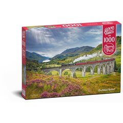Puzle Cherry Puzzi Glenfinnan Viaduct 1000 d. cena un informācija | Puzles, 3D puzles | 220.lv