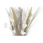 Ķekars DKD Home Decor Kokosriekstu šķiedra (2 pcs) (30 x 30 x 80 cm) цена и информация | Mākslīgie ziedi | 220.lv