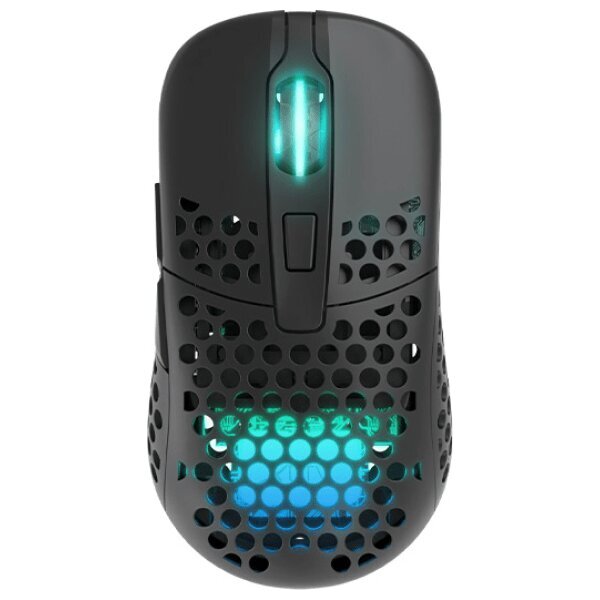 Datora pele Xtrfy M42 Wireless RGB, Black cena un informācija | Peles | 220.lv