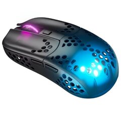Компьютерная мышь Xtrfy MZ1 Wireless, черный  цена и информация | Мыши | 220.lv