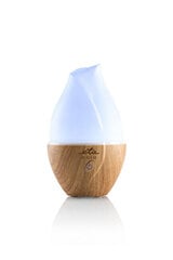 Увлажнитель ETA Aroma diffuser Aria ETA463490000 Ult цена и информация | Увлажнители воздуха | 220.lv