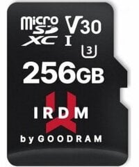 Atmiņas karte tālrunim Goodram 256GB microSDXC cena un informācija | Atmiņas kartes mobilajiem telefoniem | 220.lv