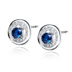 Серебряные круглые серьги с синим цирконием и сердцем Z1902E_BL цена и информация | Серьги | 220.lv