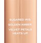 Parfimēts ķermeņa aerosols Victoria's Secret Velvet Petals Heat, 250 ml цена и информация | Parfimēta sieviešu kosmētika | 220.lv