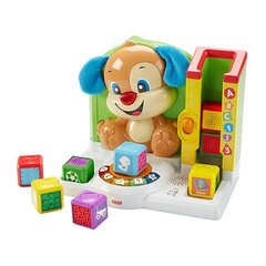 Fisher-Price FJC43 mācību rotaļlieta cena un informācija | Rotaļlietas zīdaiņiem | 220.lv