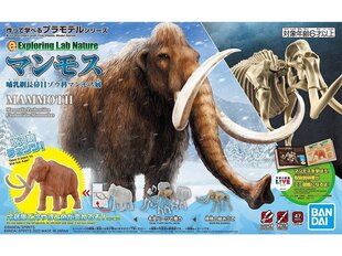 Bandai - Exploring Lab Nature Mammoth, 62179 цена и информация | Конструкторы и кубики | 220.lv