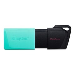 Kingston DT Exodia M 256GB USB 3.0 cena un informācija | Kingston Datortehnika | 220.lv