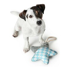HUNTER Salima - Dog toy - Star цена и информация | Игрушки для собак | 220.lv