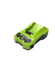 24V 2A Greenworks G24C lādētājs - 2932407 цена и информация | Шуруповерты, дрели | 220.lv