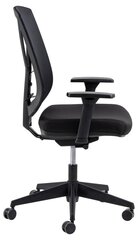 Офисный кресло Ebbe, черное цена и информация | Офисные кресла | 220.lv