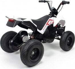 Электрический квадроцикл Injusa X-Treme Dirt, 24В цена и информация | Электромобили для детей | 220.lv
