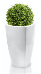 Керамический цветочный горшок Mood, квадратный, белый, 29 х 57 (А) см цена и информация | Вазоны | 220.lv