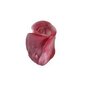 Regina roses dāvanu komplekts-dienas krēms 40ml, glicerīna ziepes 35g,smaržas 30ml, BRR044 цена и информация | Ķermeņa krēmi, losjoni | 220.lv