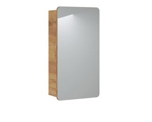 Зеркало-шкаф в ванную ARUBA, 40х75x16 см цена и информация | Шкафчики для ванной | 220.lv