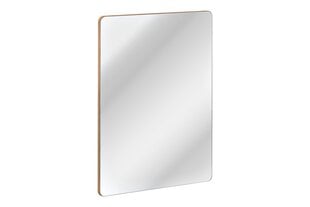 Зеркало в ванную ARUBA, 60х80 см цена и информация | Зеркала в ванную | 220.lv
