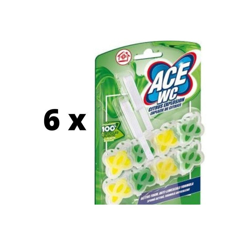 WC tualetes atsvaidzinātājs-tīrītājs ACE, Citrus explosion 2gb x 48g x 6gab. iepakojums цена и информация | Tīrīšanas līdzekļi | 220.lv