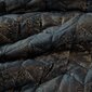 Gultas pārklājs Agata 170x210 cm cena un informācija | Gultas pārklāji, pledi | 220.lv