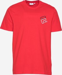 T-krekls vīriešiem Fila JANTO GRAPHIC TEE M 683277006 цена и информация | Мужские футболки | 220.lv