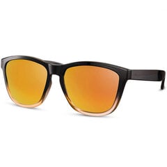 Saulesbrilles Label L2468 Gold/Revo cena un informācija | Saulesbrilles  vīriešiem | 220.lv