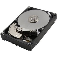 Жесткий диск Toshiba Europe MG06ACA10TE цена и информация | Внутренние жёсткие диски (HDD, SSD, Hybrid) | 220.lv