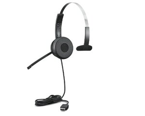 Lenovo 100 Mono Headset Wired Head-band Office/Call center USB Type-A Black цена и информация | Наушники | 220.lv