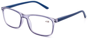 Lasīšanas brilles ar zilās gaismas aizsardzību +2 cena un informācija | Brilles | 220.lv
