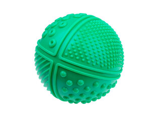 Сенсорный шарик, зеленый, 1 шт. цена и информация | Развивающие игрушки | 220.lv