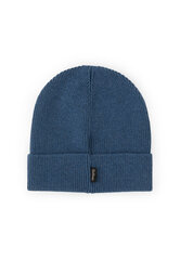 Cepure adīta zila zēniem Gulliver cena un informācija | Cepures, cimdi, šalles zēniem | 220.lv