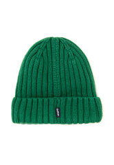 Cepure zaļa ar dekoratīvu uzšuvi un apdruku zēniem Gulliver cena un informācija | Ziemas apģērbs bērniem | 220.lv