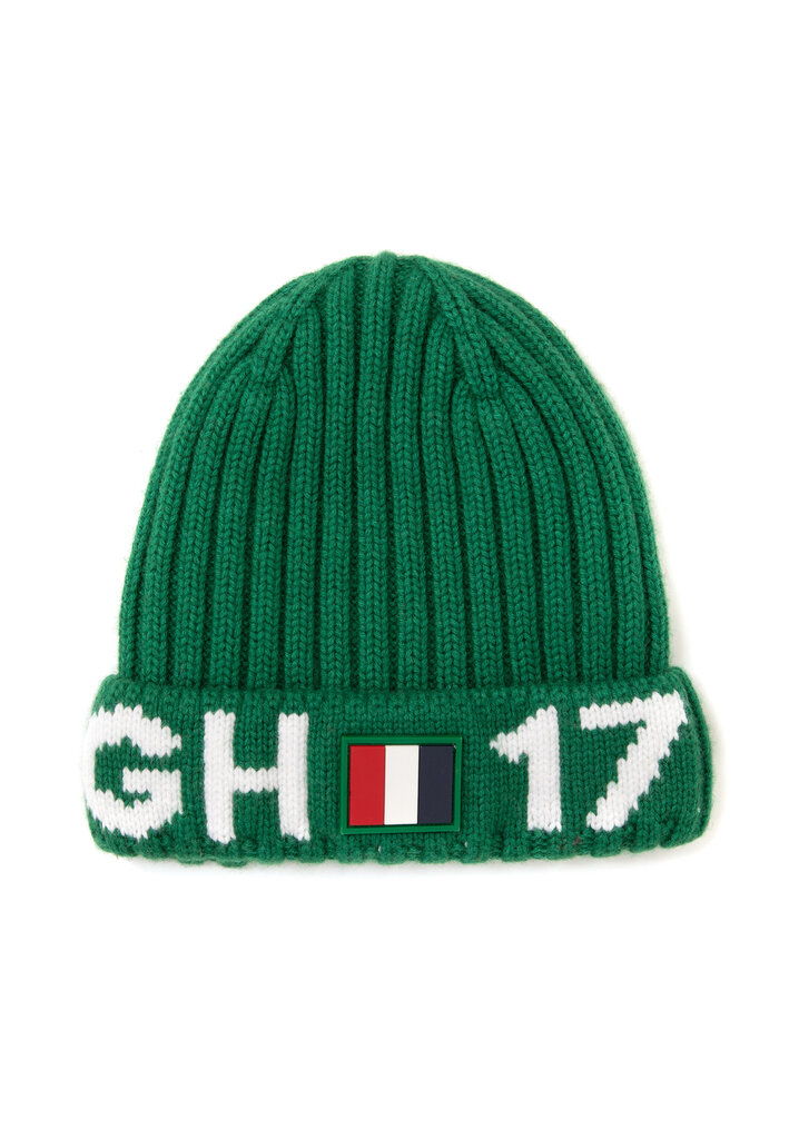 Cepure zaļa ar dekoratīvu uzšuvi un apdruku zēniem Gulliver cena un informācija | Ziemas apģērbs bērniem | 220.lv