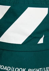 Panama zaļa ar apdruku zēniem Gulliver цена и информация | Шапки, перчатки, шарфы для мальчиков | 220.lv