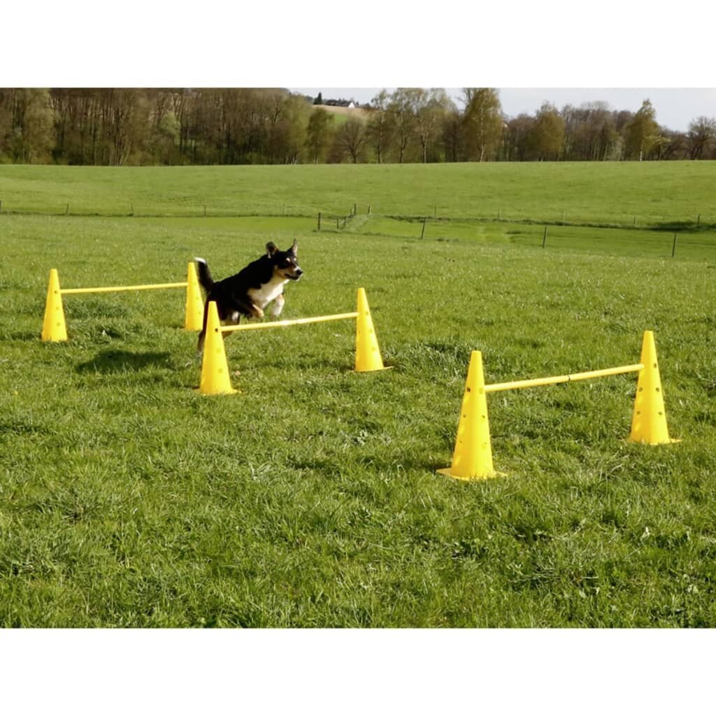 Kerbl 2-in-1 Agility Hurdle konusu komplekts dzeltena 81994 cena un informācija | Piederumi suņu trenēšanai | 220.lv