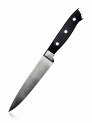 Нож Alivio 24,5 см цена и информация | Ножи и аксессуары для них | 220.lv