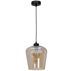 Подвесной светильник SANTIAGO AMBER 1xE27 цена и информация | Настенный/подвесной светильник Eye Spot 11 BL, чёрный | 220.lv