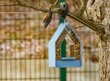 Putnu barotava Landhaus, lietojama visu gadu, lauku stils, Emsa, zila cena un informācija | Putnu būri un barotavas | 220.lv