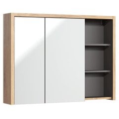 Шкаф для ванной комнаты Hakano Dropy, 100x75 см, коричневый/серый цвет цена и информация | Шкафчики для ванной | 220.lv