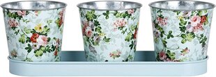 jars 10,6 x 32 cm steel pink/green 3 pieces - цена и информация | Вазы | 220.lv