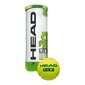 tenisa bumbiņas Head TIP GREEN cena un informācija | Āra tenisa preces | 220.lv