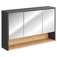 Подвесной шкаф для ванной комнаты Homede Galio, 120 см, серый цвет цена и информация | Шкафчики для ванной | 220.lv