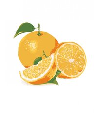 Glezna pēc numuriem " Apelsīni" 40x50 G KTMK-25626 cena un informācija | Gleznas pēc numuriem | 220.lv