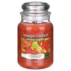 Yankee Candle Autumn Leaves Candle (rudens lapas) - Aromātiskā svece 623.0 g cena un informācija | Sveces un svečturi | 220.lv