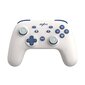 Wireless Gamepad NSW PXN-P50 (White) cena un informācija | Spēļu kontrolieri | 220.lv