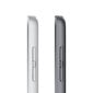 Apple iPad 10.2" Wi-Fi 64GB - Silver 9th Gen MK2L3FD/A cena un informācija | Planšetdatori | 220.lv