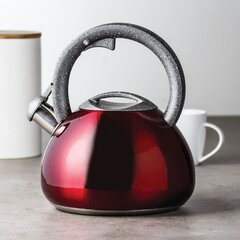 Чайник Ambition Jasper, 2,9 л цена и информация | Чайники, кофейники | 220.lv