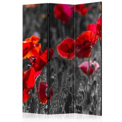 3-daļīgs aizslietnis - Red Poppies цена и информация | Мобильные стенки | 220.lv