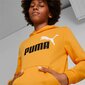 Puma sporta krekls bērniem 586987*39, dzeltens/melns 4065449134118 цена и информация | Zēnu jakas, džemperi, žaketes, vestes | 220.lv