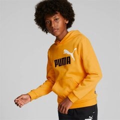 Puma sporta krekls bērniem 586987*39, dzeltens/melns 4065449134118 cena un informācija | Zēnu jakas, džemperi, žaketes, vestes | 220.lv