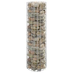 vidaXL gabions, augstā puķu kaste, apaļa, cinkots tērauds, Ø30x100 cm цена и информация | Вазоны для рассады и пересадки | 220.lv